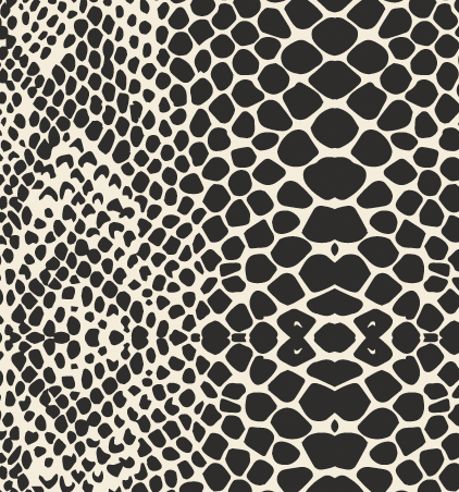 Nahara Snake Silk Scarf